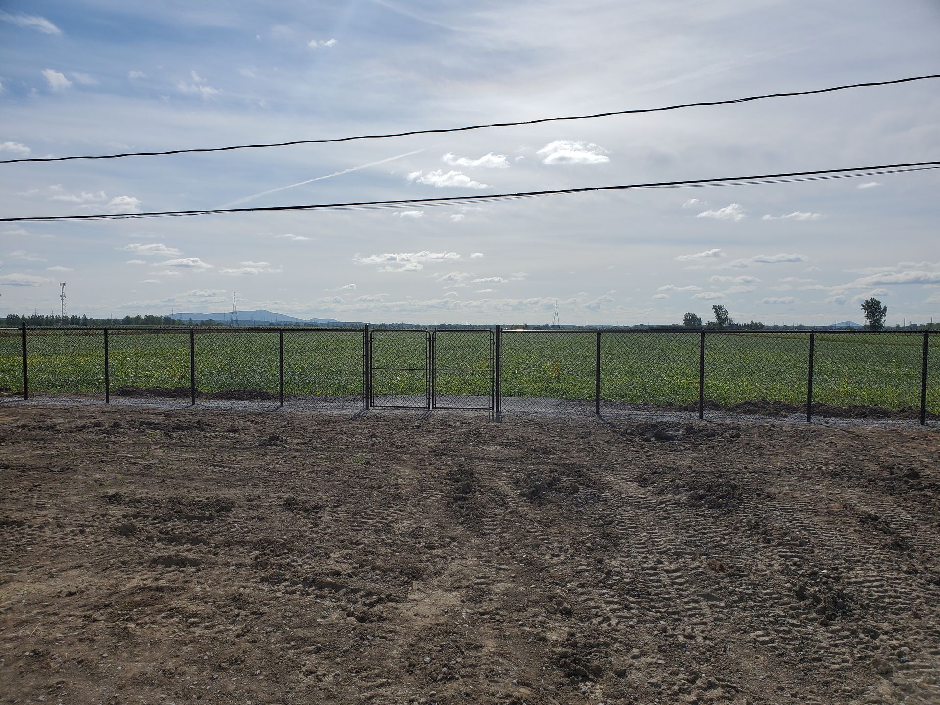 Une clГґture en fil de fer barbelГ© entoure un champ d'herbe.