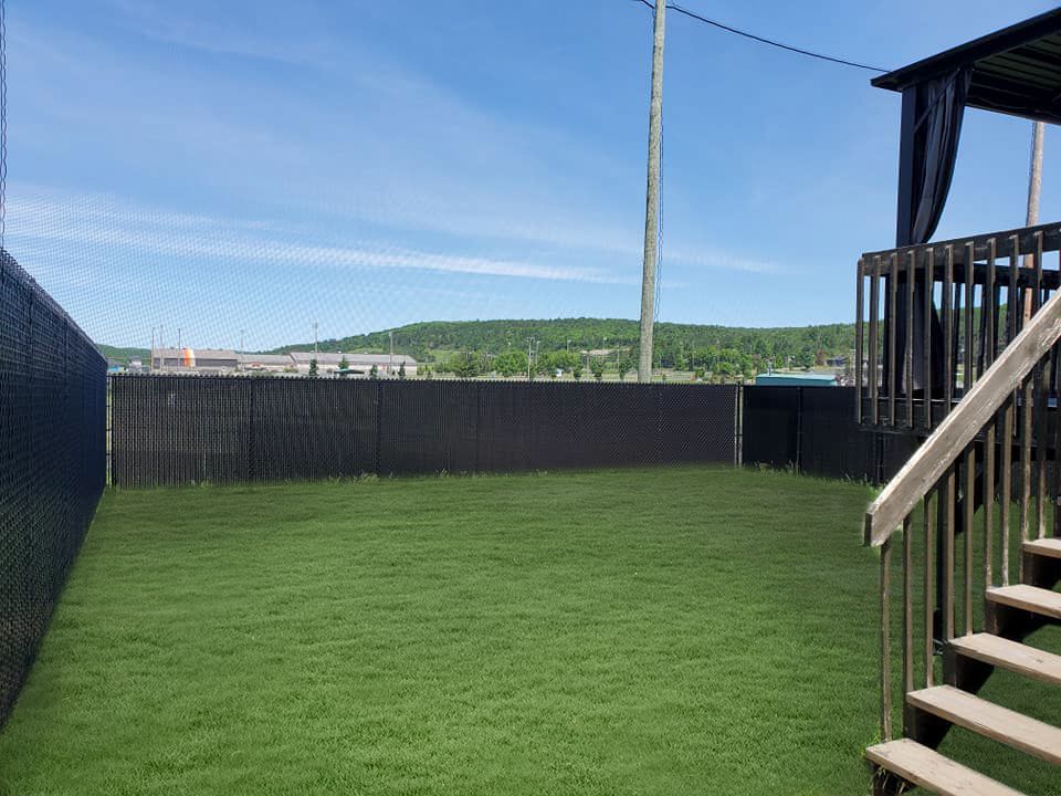 Il y a des escaliers menant Г  une cour clГґturГ©e avec une pelouse verte luxuriante.